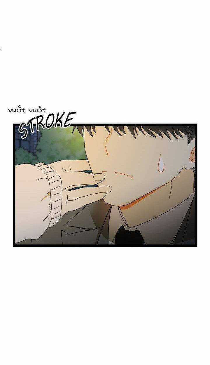 Giả Mạo Theo Phong Cách Chapter 35 trang 47