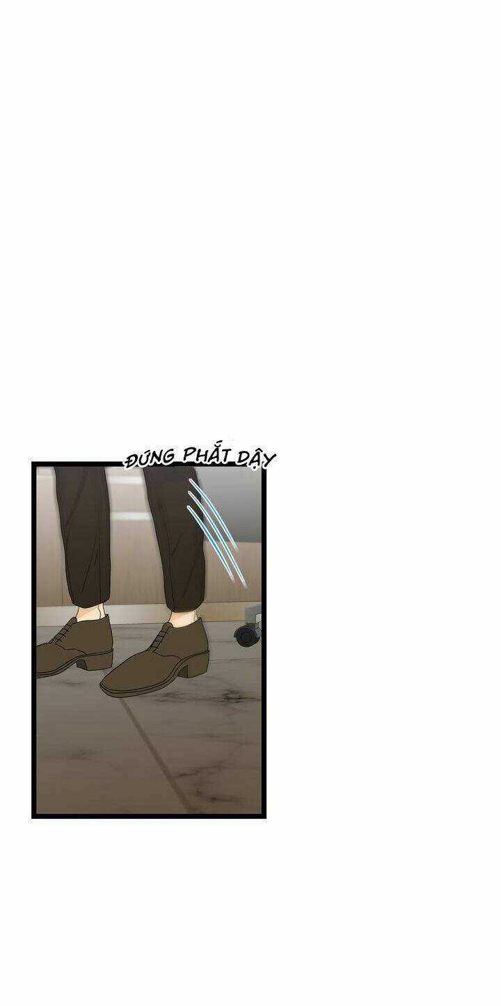 Giả Mạo Theo Phong Cách Chapter 39 trang 43