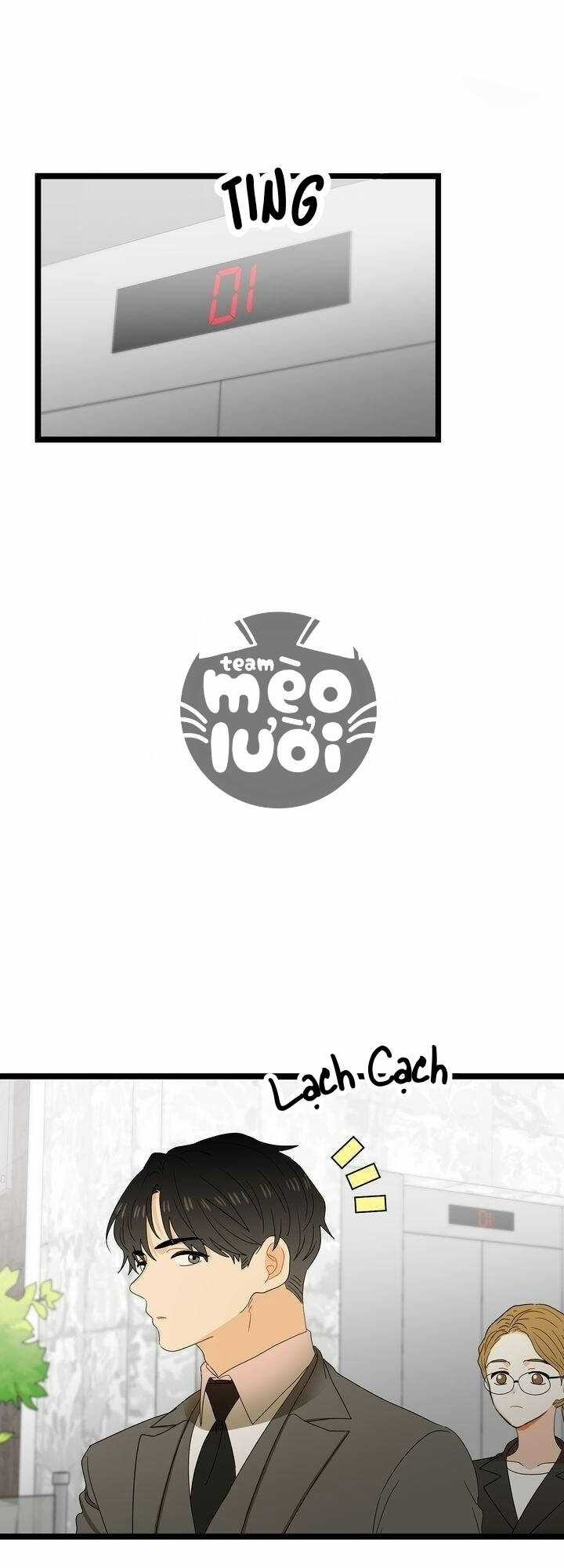 Giả Mạo Theo Phong Cách Chapter 56 trang 11