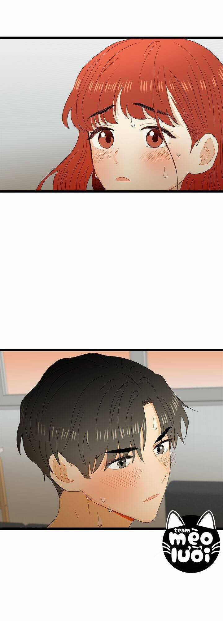 Giả Mạo Theo Phong Cách Chapter 62 trang 19