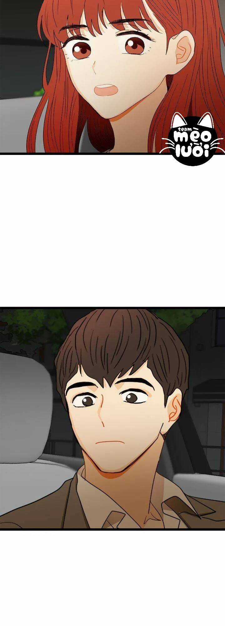 Giả Mạo Theo Phong Cách Chapter 63 trang 28