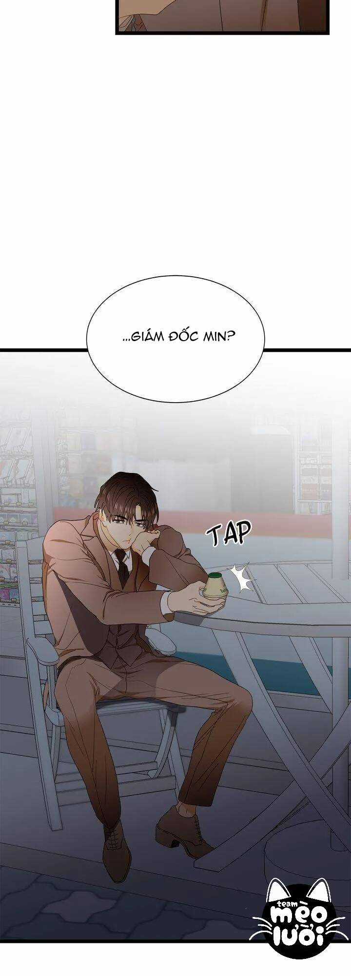 Giả Mạo Theo Phong Cách Chapter 63 trang 34