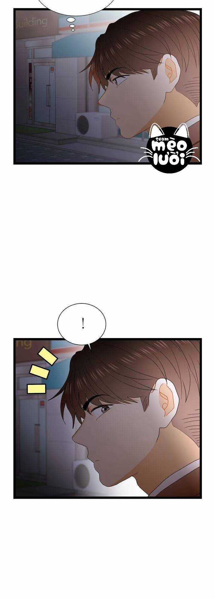 Giả Mạo Theo Phong Cách Chapter 63 trang 45