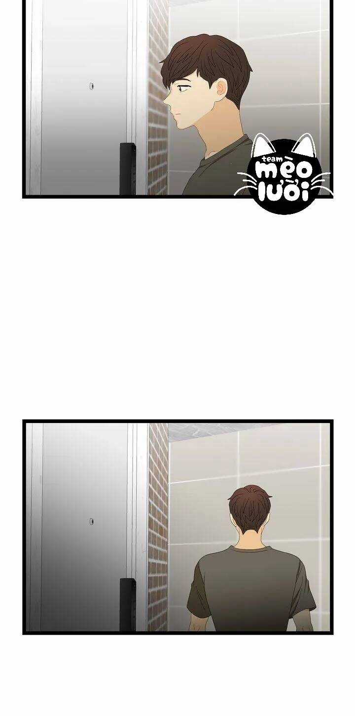 Giả Mạo Theo Phong Cách Chapter 67 trang 41