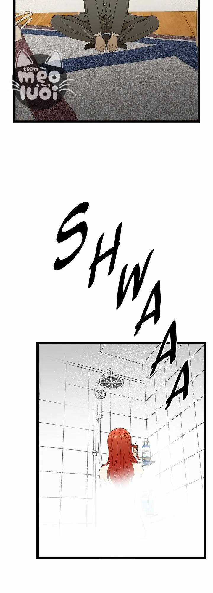 Giả Mạo Theo Phong Cách Chapter 68 trang 17