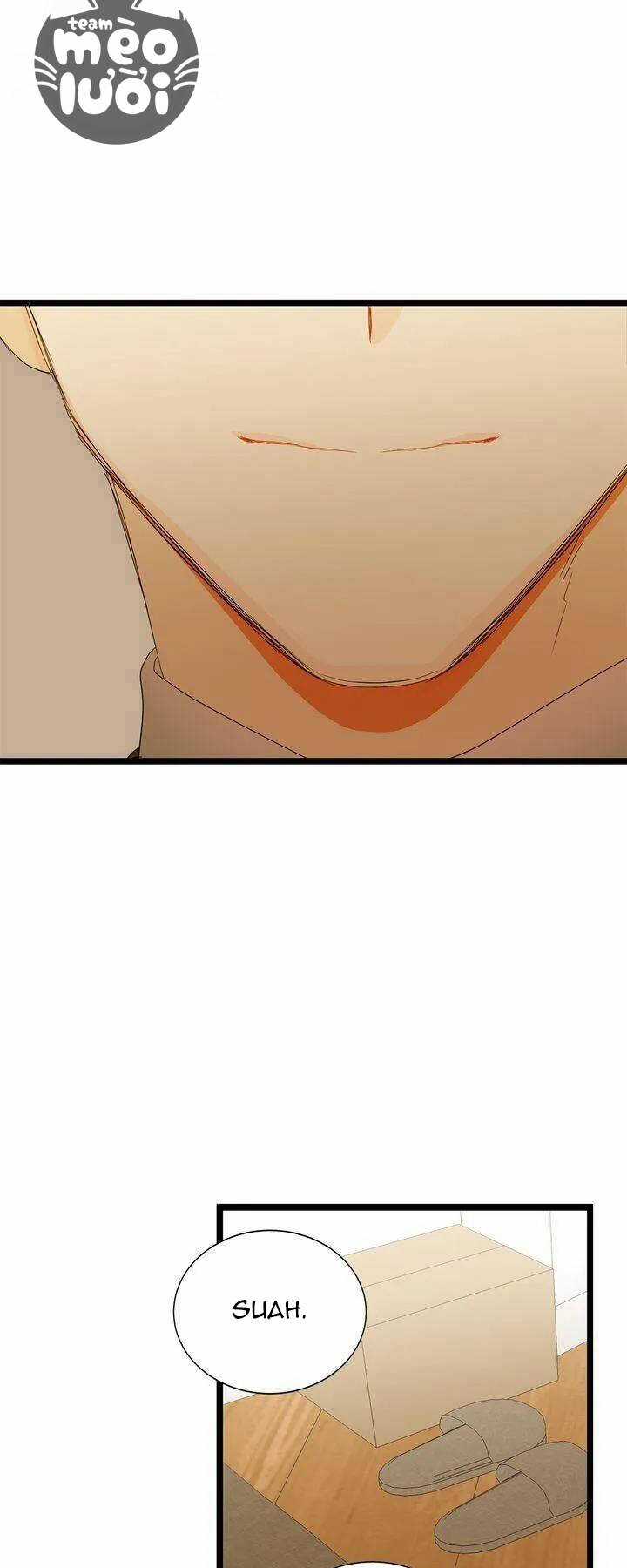 Giả Mạo Theo Phong Cách Chapter 75 trang 28