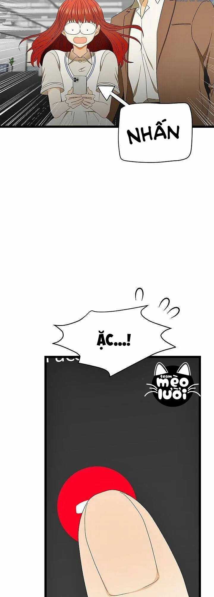 Giả Mạo Theo Phong Cách Chapter 77 trang 48