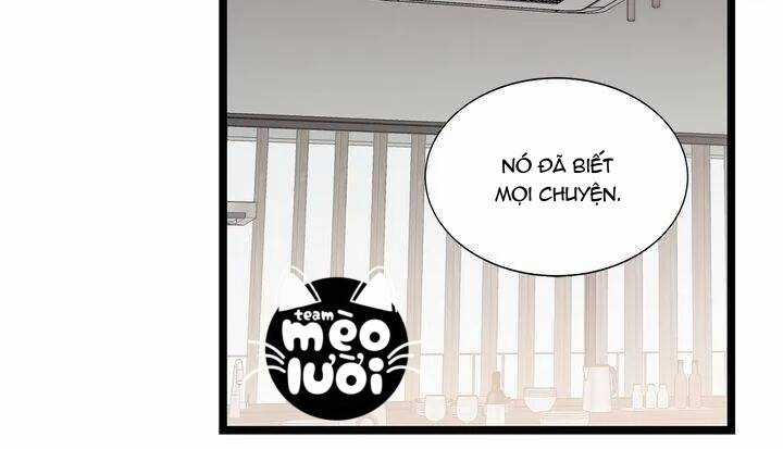 Giả Mạo Theo Phong Cách Chapter 78 trang 10