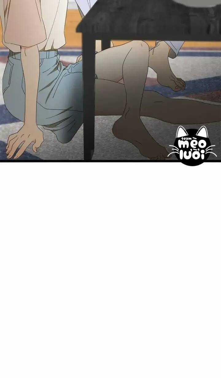 Giả Mạo Theo Phong Cách Chapter 85 trang 47