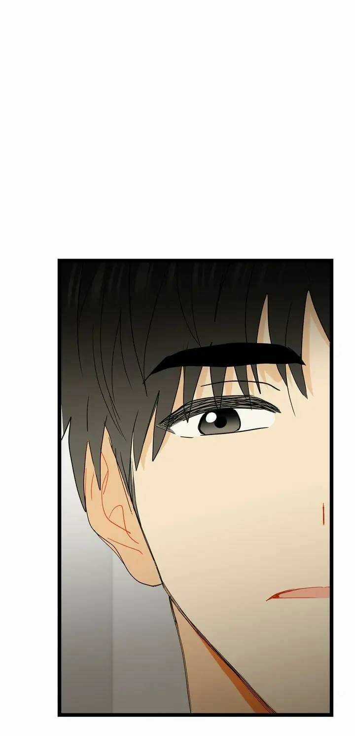 Giả Mạo Theo Phong Cách Chapter 93 trang 47