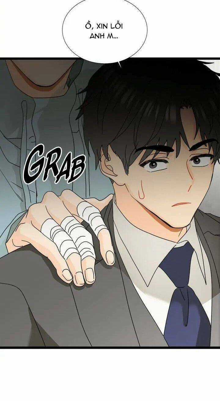 Giả Mạo Theo Phong Cách Chapter 98 trang 64