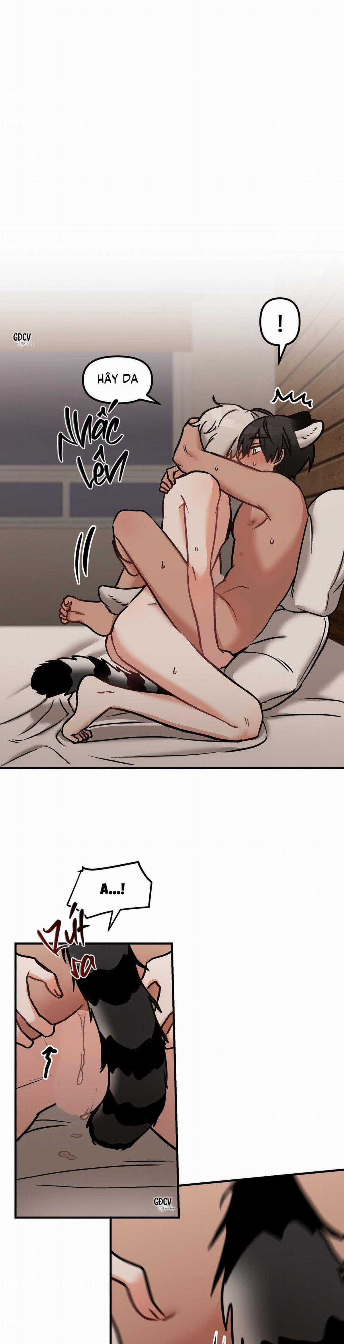 Gia Nhân Chapter 25 trang 4