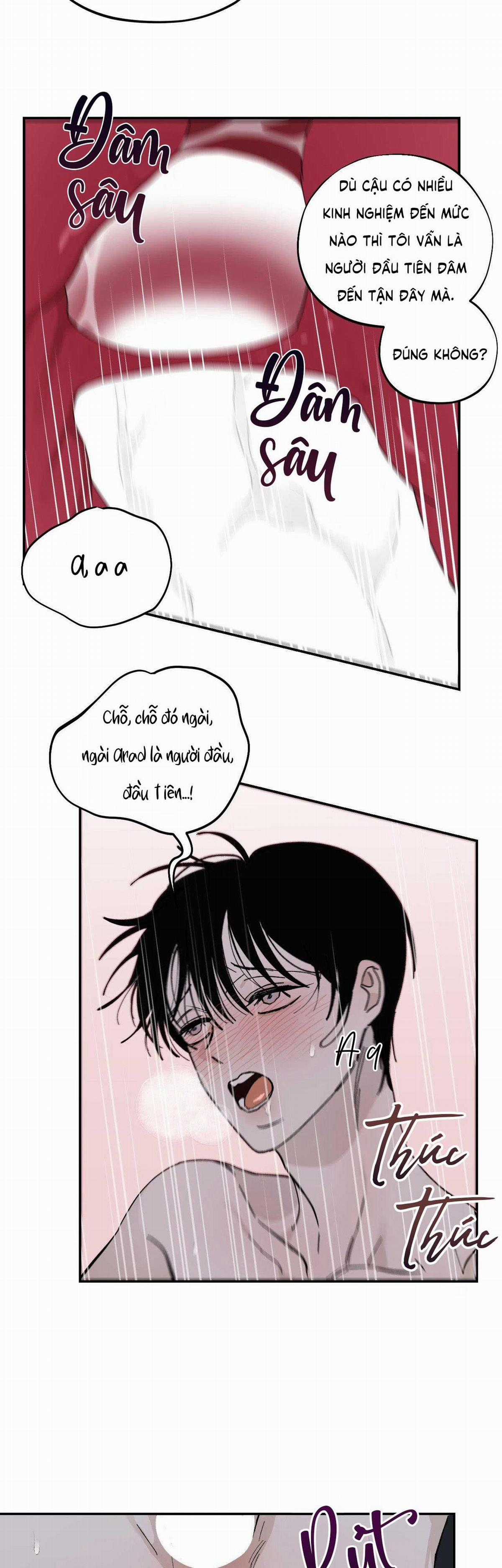 Gia Nhân Chapter 28 trang 12