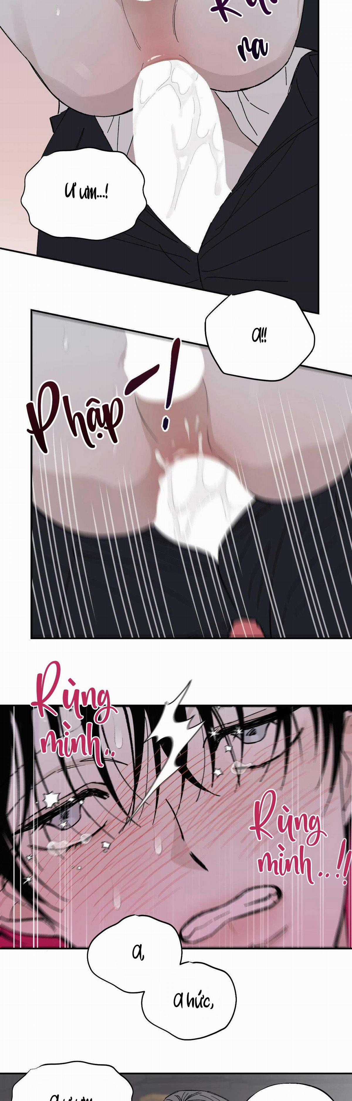 Gia Nhân Chapter 28 trang 13