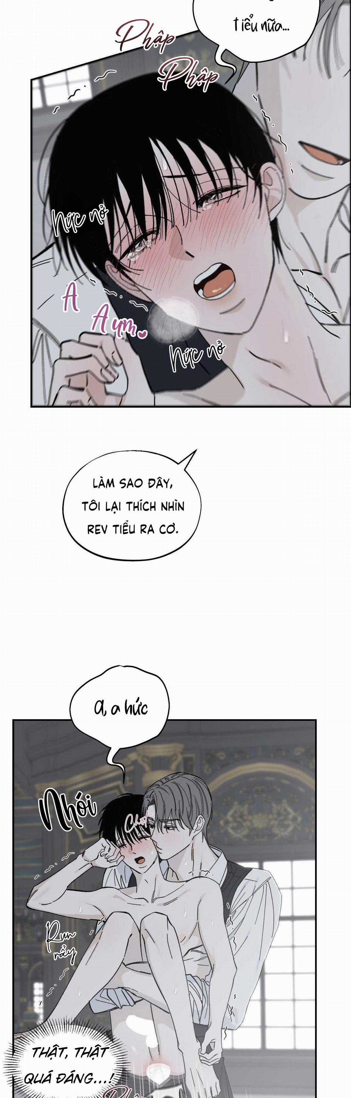 Gia Nhân Chapter 28 trang 15