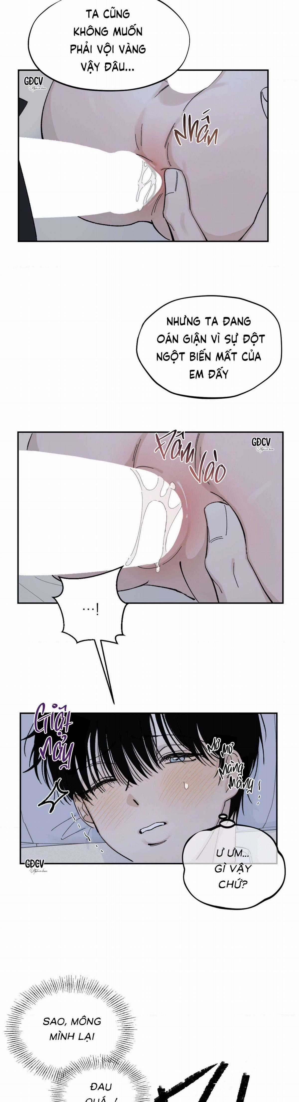 Gia Nhân Chapter 3 trang 3