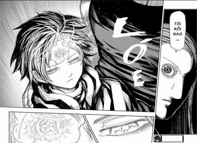 Gia Tộc Điệp Viên Yozakura Chapter 220 trang 20