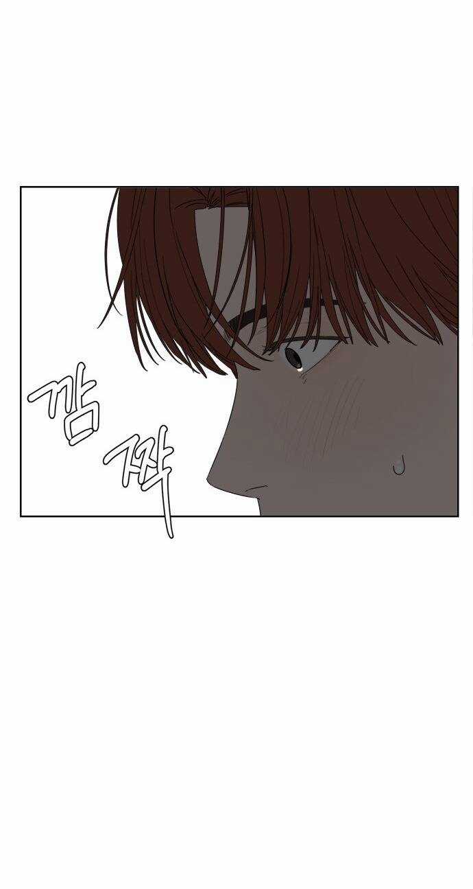 Giấc Mơ Học Thức Chapter 11.1 trang 29