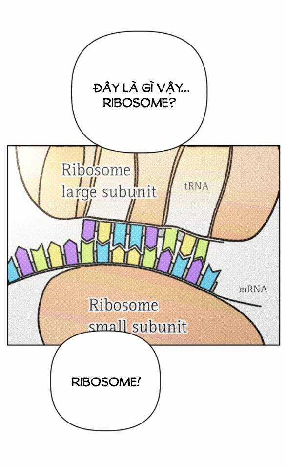 Giấc Mơ Học Thức Chapter 3.1 trang 49