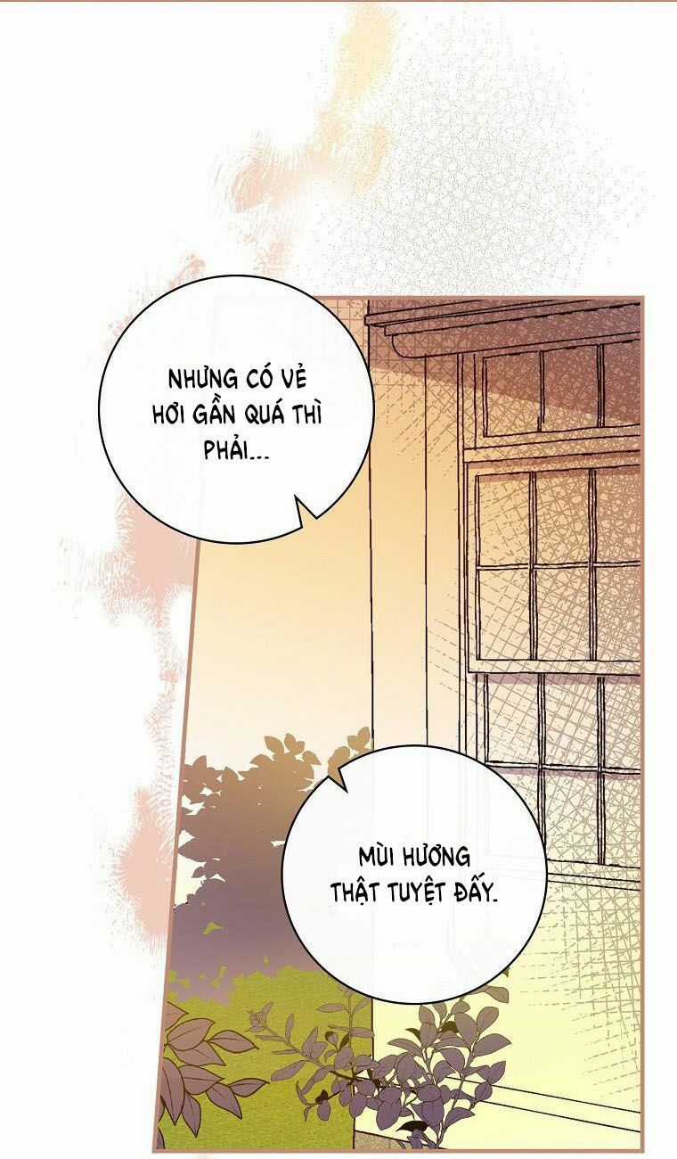 Giai Điệu Của Nhành Cây Khô Héo Chapter 11 trang 17