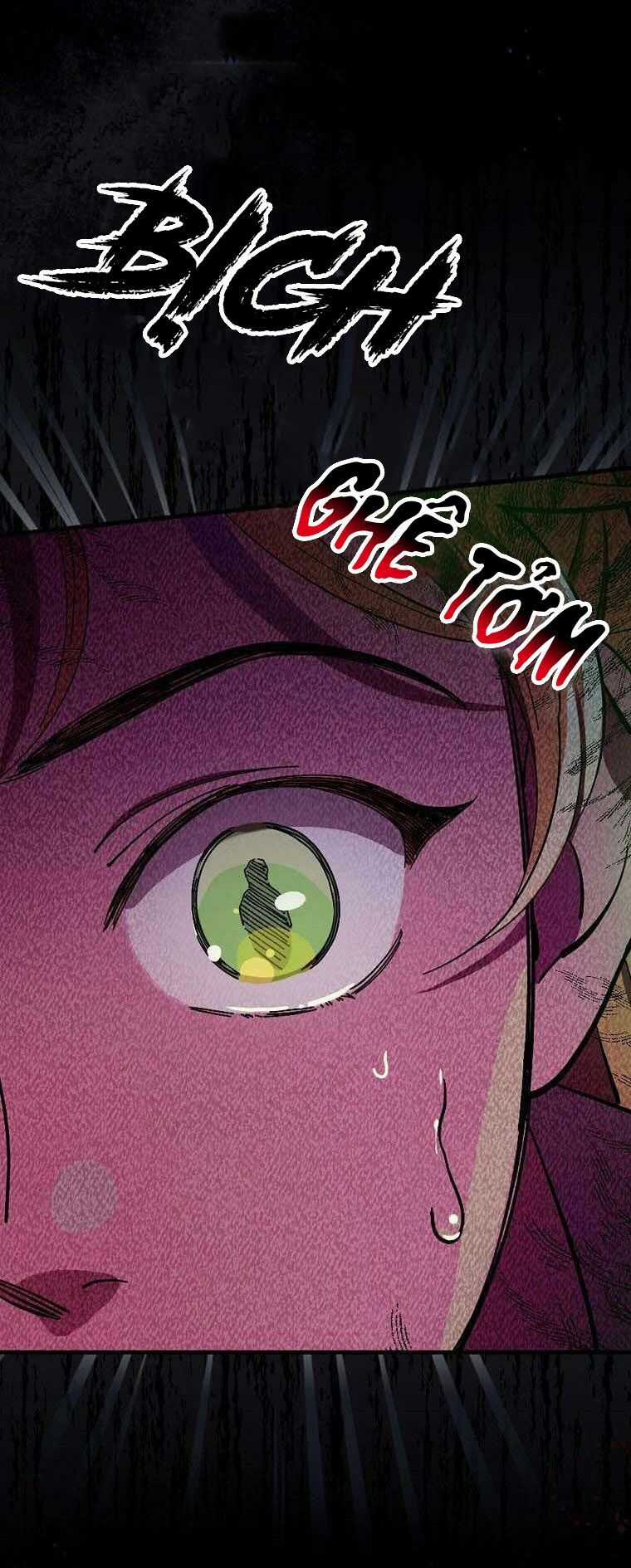 Giai Điệu Của Nhành Cây Khô Héo Chapter 14 trang 75