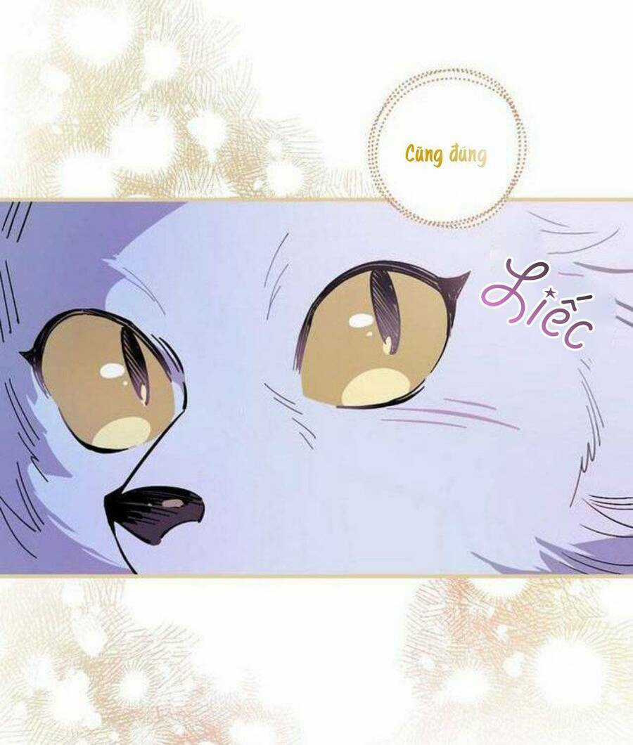 Giai Điệu Của Nhành Cây Khô Héo Chapter 17 trang 56