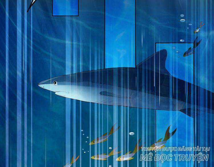 Giai Điệu Của Sự Va Chạm Chapter 4 trang 15