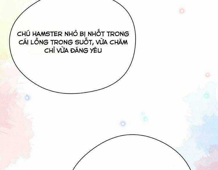 Giai Điệu Của Sự Va Chạm Chapter 50 trang 103