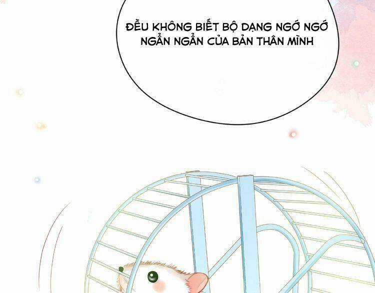 Giai Điệu Của Sự Va Chạm Chapter 50 trang 104