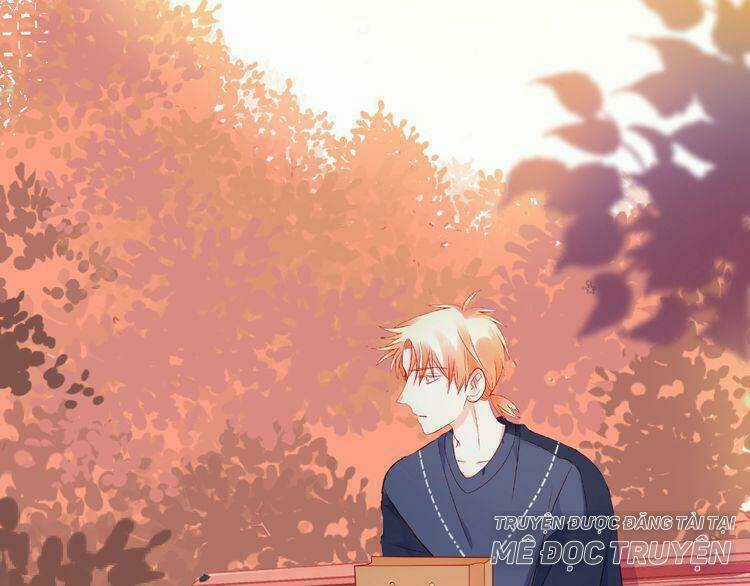 Giai Điệu Của Sự Va Chạm Chapter 52 trang 10