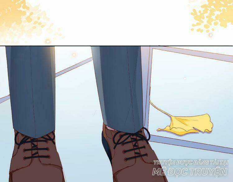 Giai Điệu Của Sự Va Chạm Chapter 52 trang 15