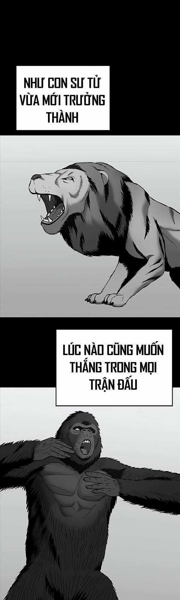 Giang Hồ Thực Thi Công Lý Chapter 49 trang 7