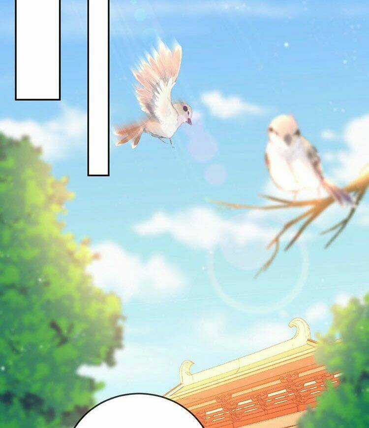 Giang Sơn Mỹ Nam Nhập Trướng Ta Chapter 29 trang 15