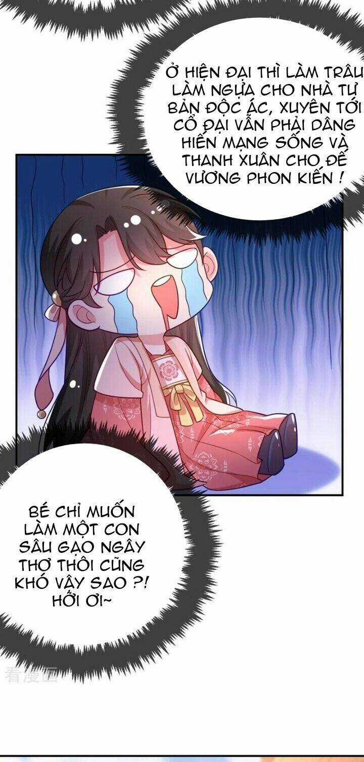 Giang Sơn Mỹ Nam Nhập Trướng Ta Chapter 43 trang 4