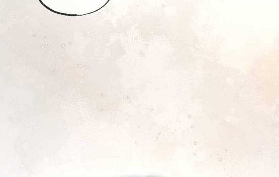 Giảng Sư Đứng Đầu, Baek Sư Phụ Chapter 83 trang 193