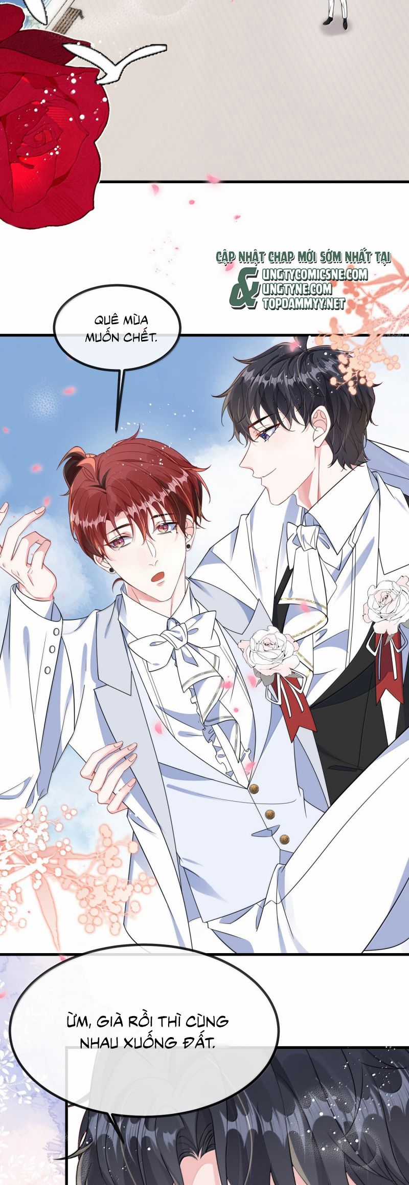 Giáo Bá Là Một Tên Yêu Tinh Chapter 151 trang 14