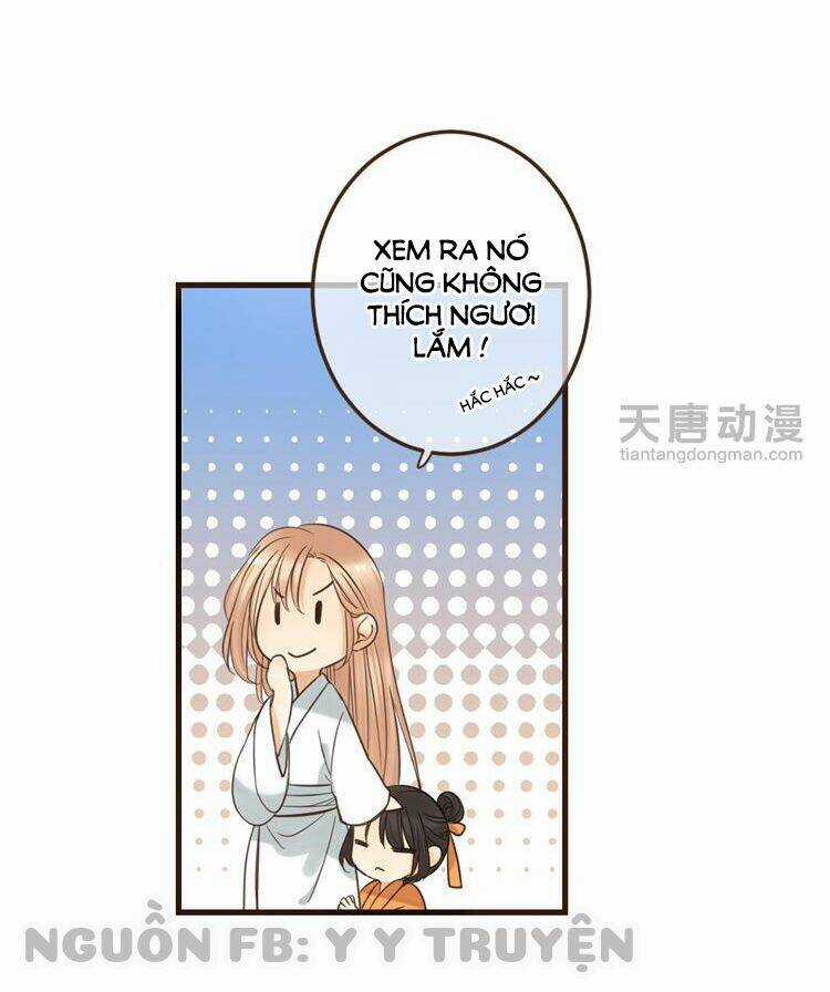 Giáo Chủ Yêu Nghiệt Mau Nằm Xuống Chapter 35 trang 12