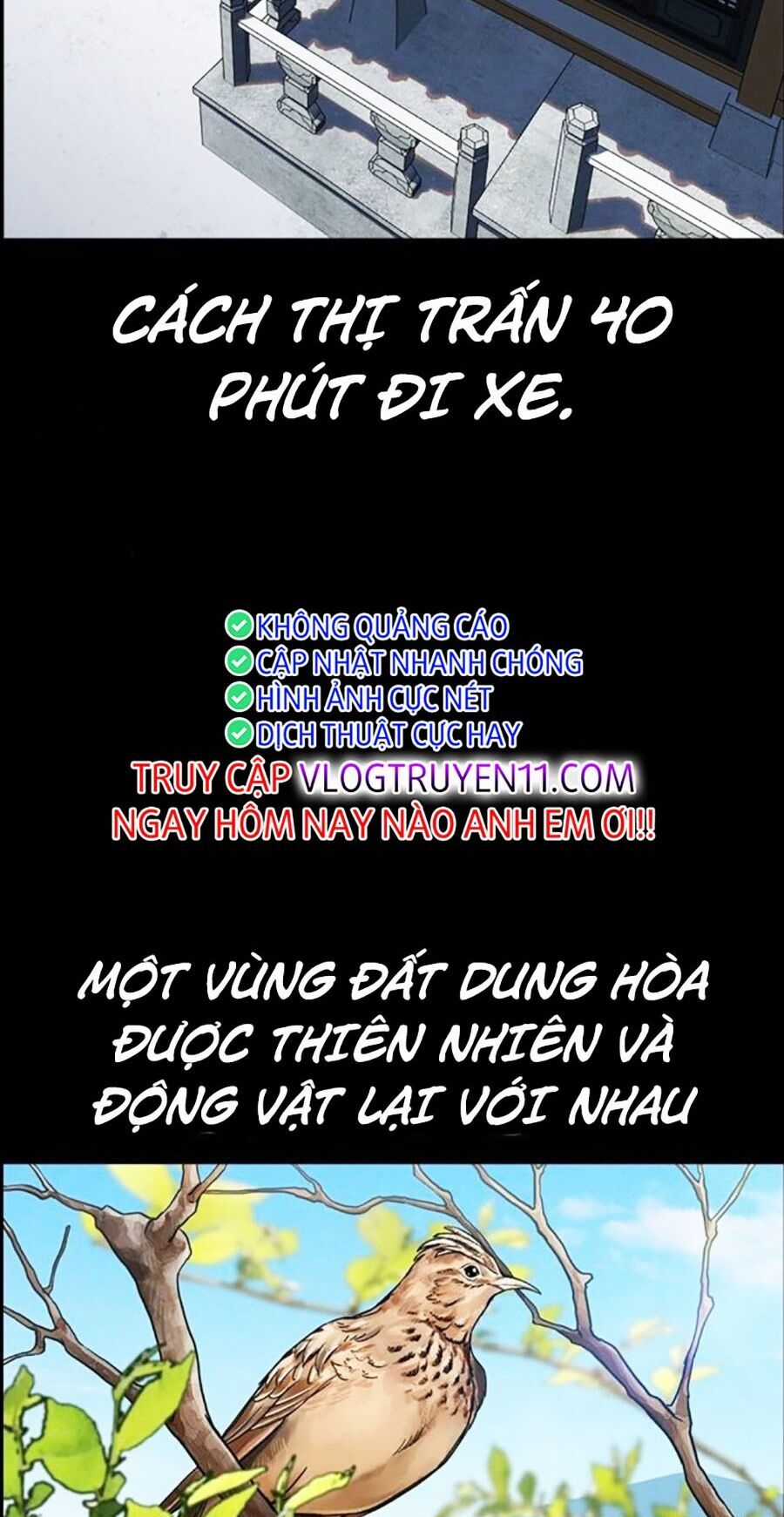 Giáo Dục Chân Chính Chương 132 trang 16