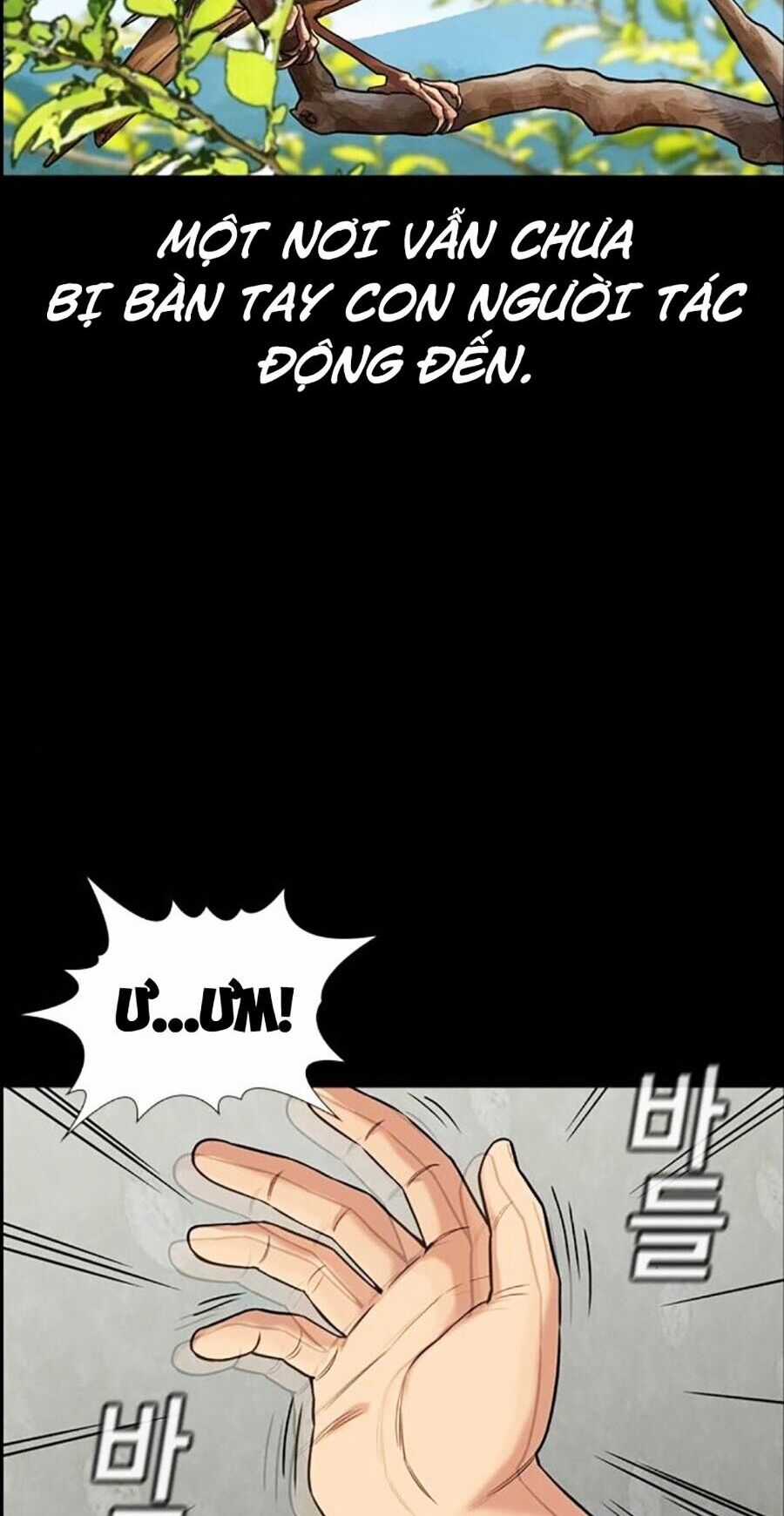 Giáo Dục Chân Chính Chương 132 trang 17