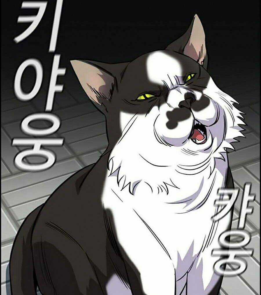 Giáo Dục Chân Chính Chương 33 trang 17