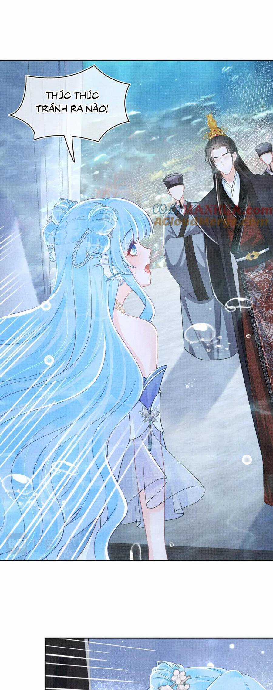Giao Nhân Tể Tể Ba Tuổi Rồi! Chapter 167 trang 33