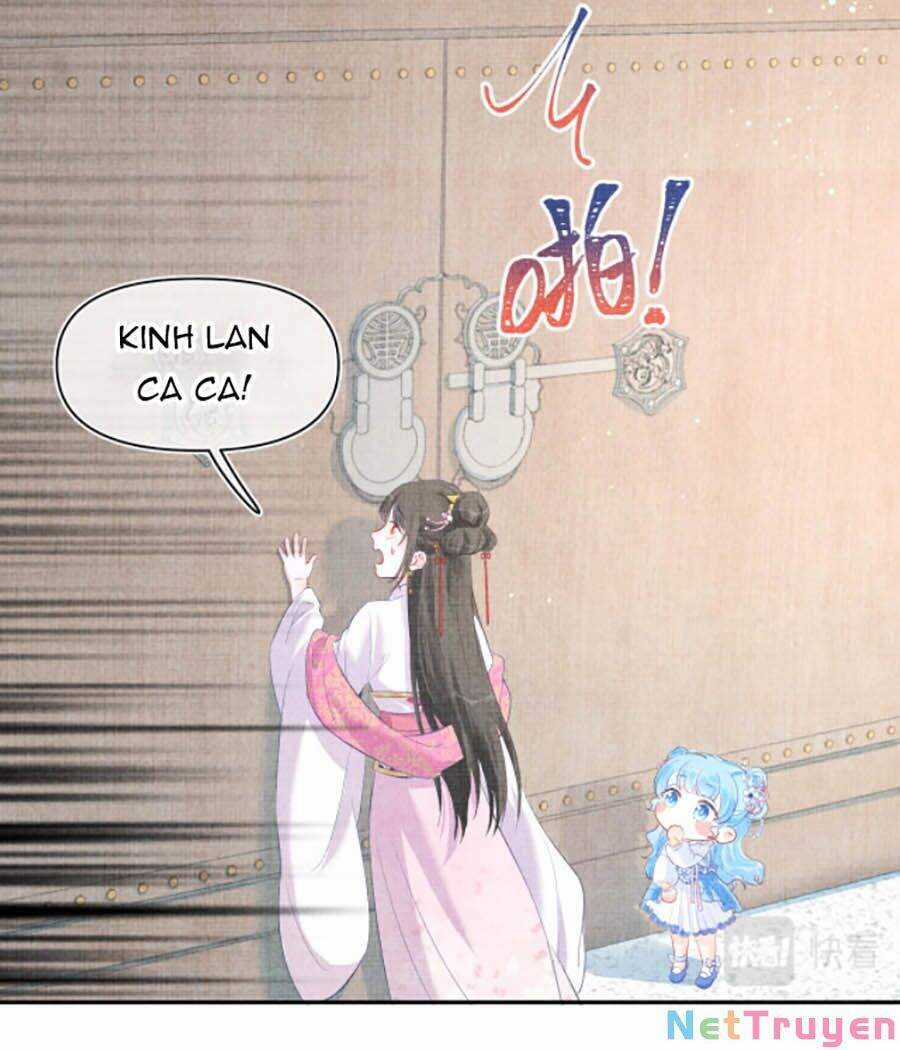 Giao Nhân Tể Tể Ba Tuổi Rồi! Chapter 5 trang 12