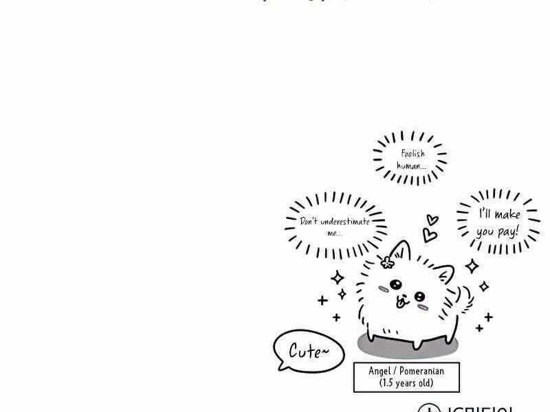 Giáo Sư Gián Điệp Chương 11 trang 243