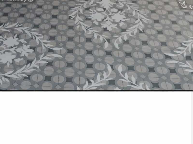 Giáo Sư Gián Điệp Chương 3 trang 337