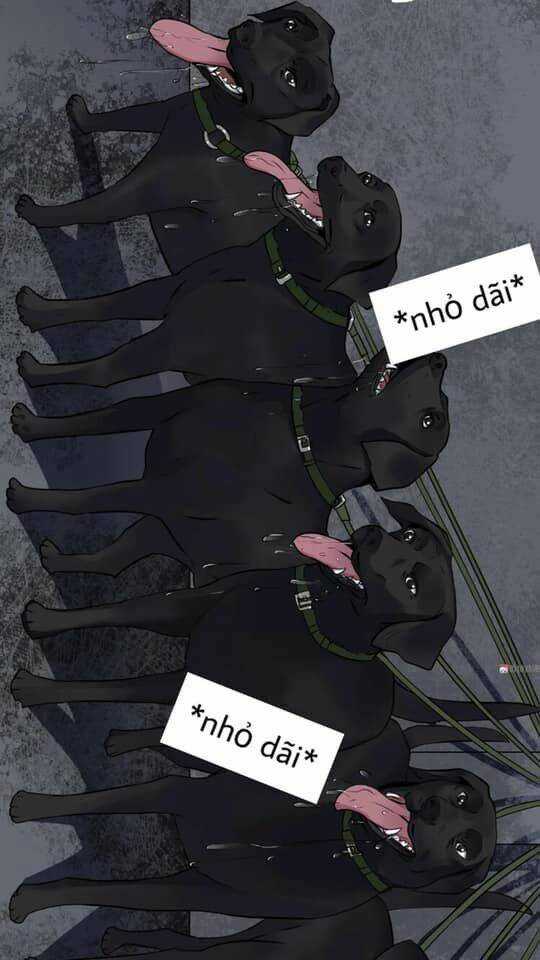 Giày Thủy Tinh Chapter 23 trang 2