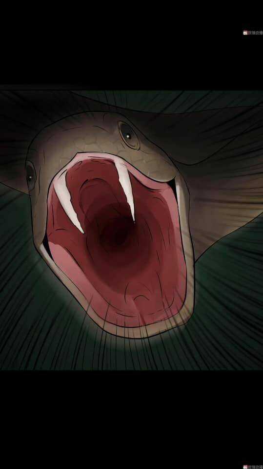 Giày Thủy Tinh Chapter 31.5 trang 11