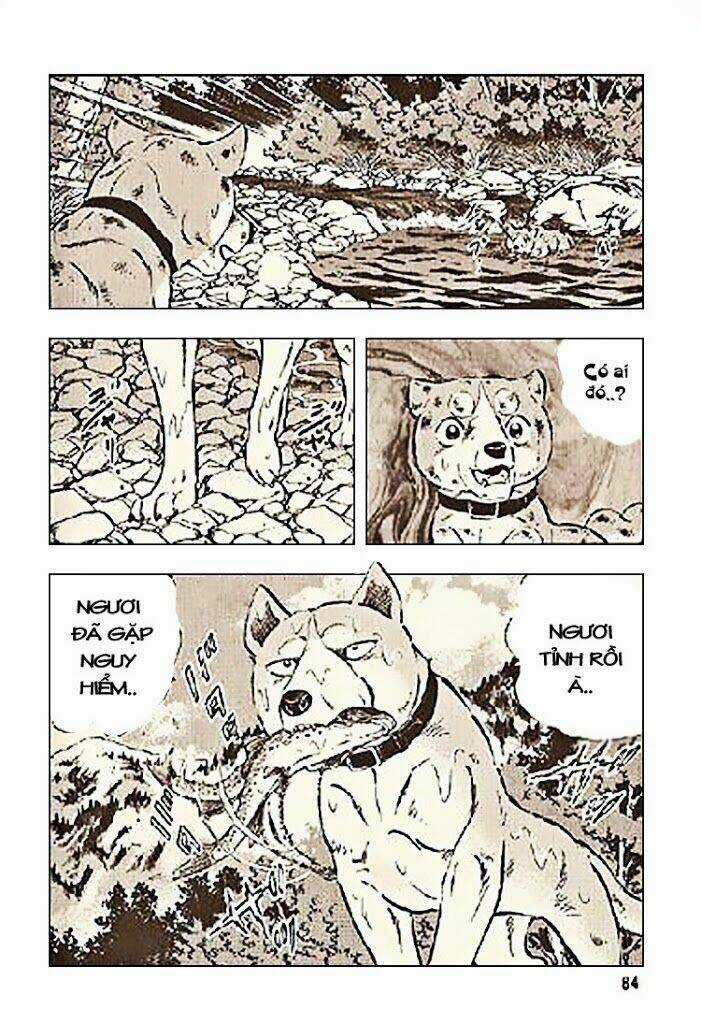 Ginga Densetsu Riki Chapter 3 trang 11