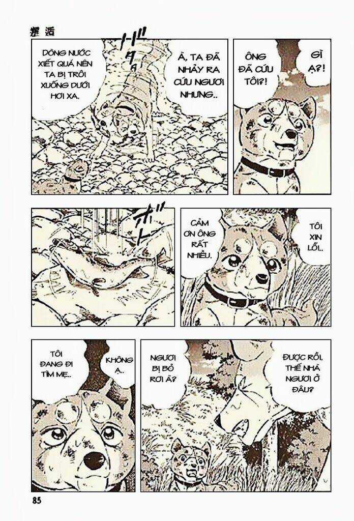 Ginga Densetsu Riki Chapter 3 trang 12