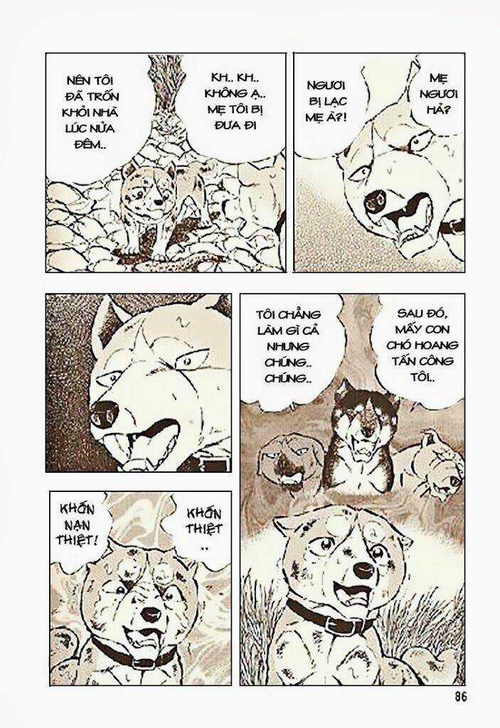 Ginga Densetsu Riki Chapter 3 trang 13