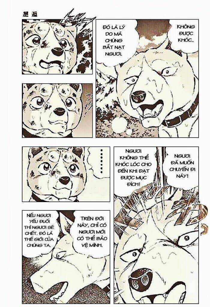 Ginga Densetsu Riki Chapter 3 trang 14